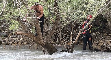 Pülümür Çayı'nda mahsur kalan şahsı jandarma kurtardı