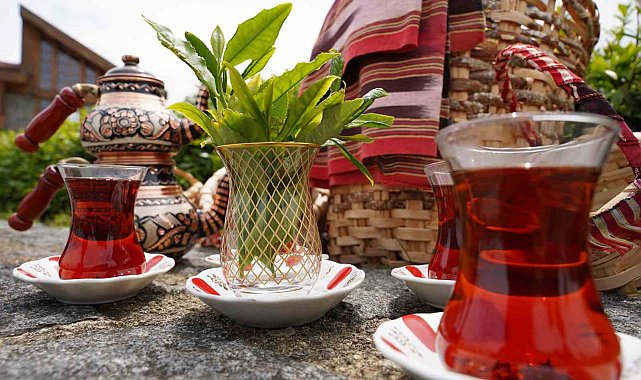 Rize'de Dünya Çay Günü etkinliği