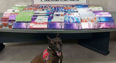 Sakarya'da kaçakçılığa jandarma izin vermiyor