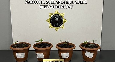 Samsun'da uyuşturucu operasyonu: 4 gözaltı