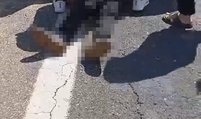 Şanlıurfa'da kurbanlık yüklü kamyonet devrildi: 1 ölü, 1 yaralı