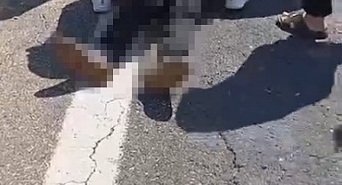 Şanlıurfa'da kurbanlık yüklü kamyonet devrildi: 1 ölü, 1 yaralı