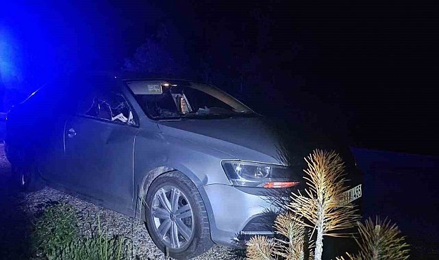 Seyir halindeki otomobile geyik çarptı: 2 yaralı
