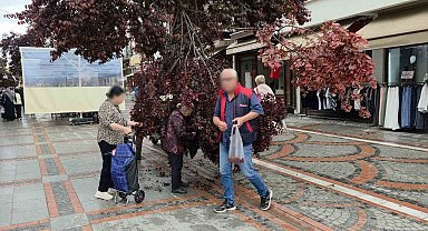Şiddetli rüzgarda yağmur yağdı, ağaç kırıldı: Vatandaşlar erik peşine düştü