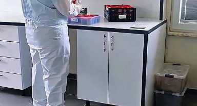 Sinop ormanlarında biyolojik mücadele güçleniyor