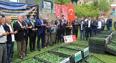 Şırnak'ta 252 üreticiye sebze fidesi dağıtıldı