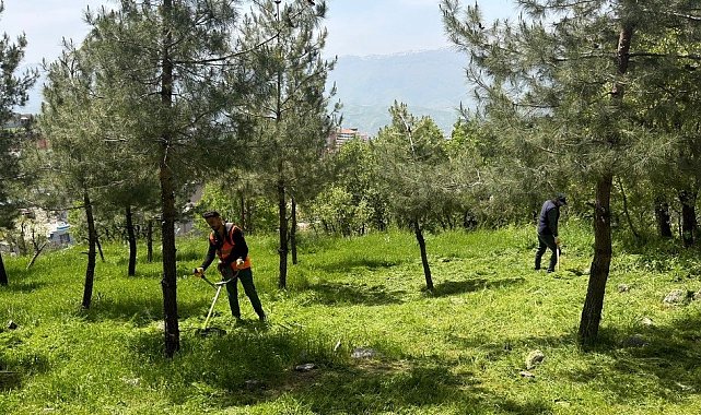 Şırnak'ta mezarlık ve yeşil alanlarda temizlik çalışması