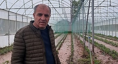 Sivas'ta dere taştı: Sera ve bahçeler sular altında kaldı