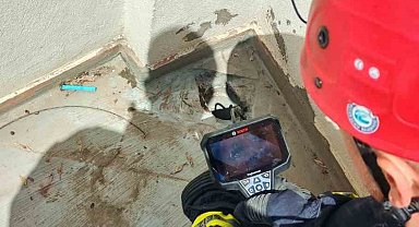 Su borusuna düşen 3 yavru kedi itfaiye tarafından kurtarıldı