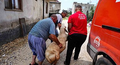 Tarsus Belediyesinden şehit ailelerine bayram desteği