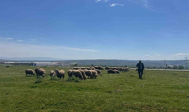 Tatili olmayan tek sektör tarım: İl Müdürü merada üreticiyle buluştu