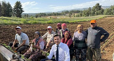 Tavas ve Beyağaç Belediye Başkanları birlikte tütün dikti
