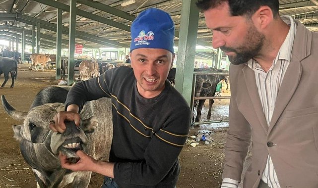 Tavşanlı hayvan pazarında bayram arefesi hareketliliği