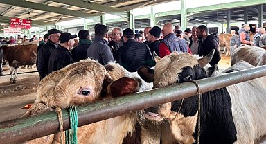 Tavşanlı hayvan pazarında kurbanlık hareketliliği