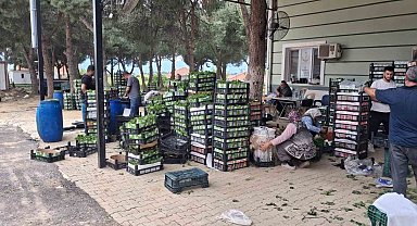 Taze bağ yaprağı aile ekonomisine can suyu oldu