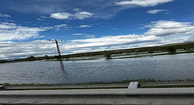 Tercan'da yağışlar nedeniyle tarım arazilerini su bastı