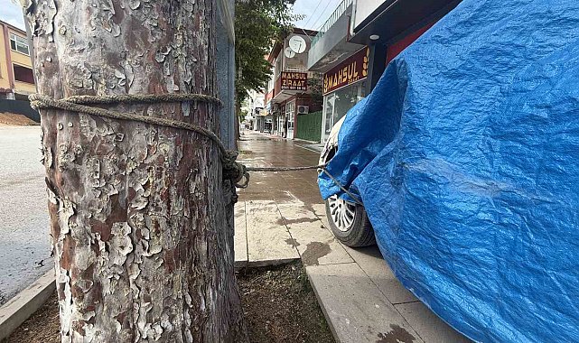 Turhal'da taşkın korkusuyla vatandaş otomobilini ağaca bağladı