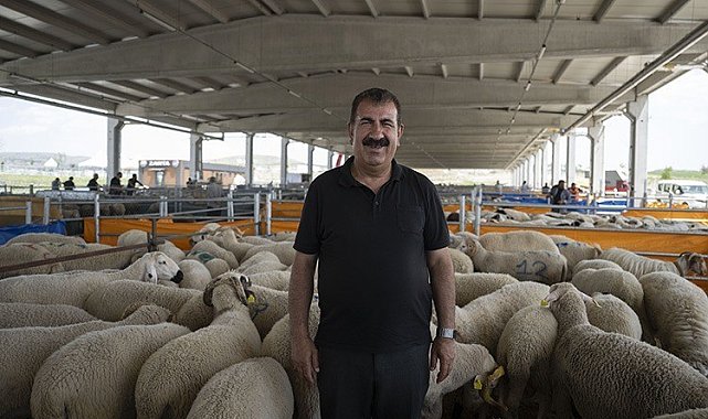 TÜRKYED Genel Başkanı Çelik: "Vatandaşlarımız vekalet verdiği kurumun kurban kesimini İslami usullere uygun gerçekleştirdiğinden emin olmalıdır"