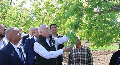 TZOB Genel Başkanı Bayraktar: "Iğdır'daki kayısı bahçelerimiz dondan zarar gördü"