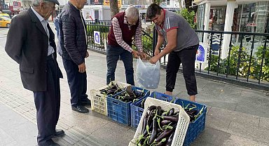 Ürettiği patlıcanlar maliyetini kurtarmayınca serasının kapılarını vatandaşlara açtı