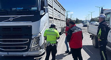 Uşak'ta hayvan sağlığı ve halk sağlığı için denetimler sürüyor