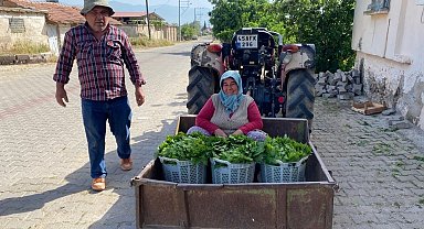 Üzümden önce yaprak kazandırdı