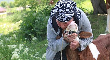 Üzümlü'de yabancı gelin hayvancılığa renk kattı