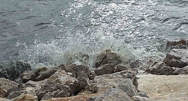 Van Gölü'nde şiddetli rüzgar dalgaları coşturdu