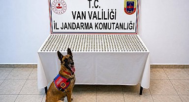Van'da 8 İranlı'nın midesinde 3 kilo esrar ele geçirildi