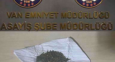 Van'da farklı suçlardan 43 kişi tutuklandı