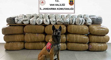 Van'da yarım tona yakın uyuşturucu ele geçirildi