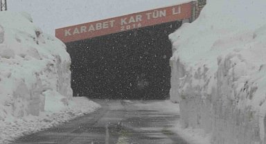 Van'ın yüksek kesimlerde kar yağışı etkili oldu