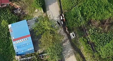 Vatandaşın kaybolan büyükbaşlarını jandarma dron ile buldu