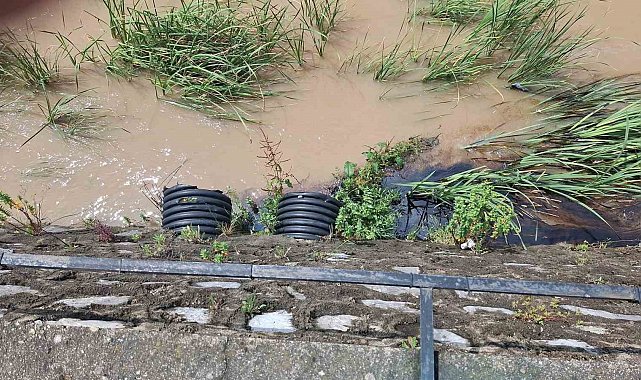 Vatandaşların dikkati çevre kirliliğini ortaya çıkardı: Dereye karışan kimyasal atık Karadeniz'e aktı
