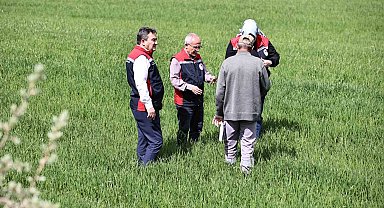 Yağışlar sonrası çiftçilere hububat tarlalarında hastalık riski uyarısı: "Hastalık çıkmadan önce alınan tedbirler verimi korur"