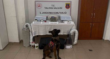 Yalova merkezli 3 ilde göçmen kaçakçılığı operasyonu: 3 tutuklama