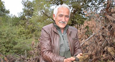 Yanan ormanlık alanda doğanın cömertliği köylüleri sevindirdi: Fiyatı gram altında yarışıyor