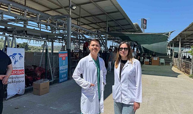 Yetkili ve sözleşmeli veteriner hekim uygulaması Aydın'da başarıyla uygulandı
