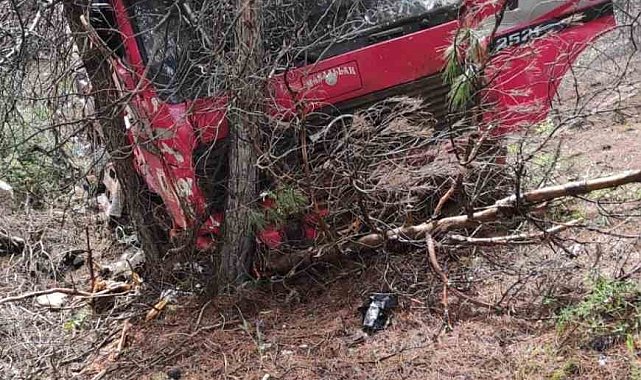 Yoldan çıkan vinç ormanlık alana daldı