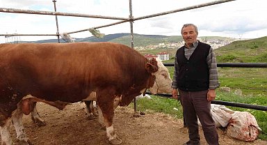 Yozgat hayvan pazarında kurbanlıklar alıcısını bekliyor