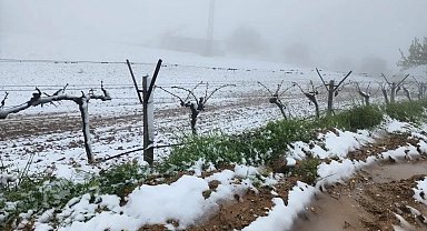 Yüksek kesimlerde ani hava değişimi üreticiyi zorladı