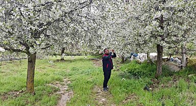 Zirai don uyarısı yapılan bölgelerde hasar tespit çalışması yapıldı