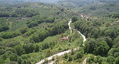Zonguldak ormanları baharın gelişiyle dronla görüntülendi