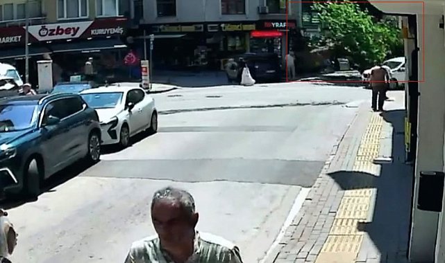 150 yıllık çınar böyle devrildi