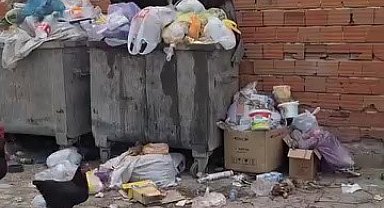 2 haftadır alınmayan çöpler tepki çekti