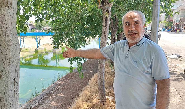 Adana'da sivrisinek istilasına vatandaş tepkisi: "Çocuklarımız yara içinde kaldı"
