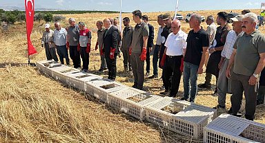 Adıyaman doğasına bin adet keklik salındı