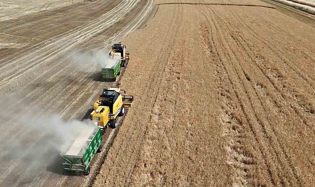 Adıyaman'da hububat hasadı başladı