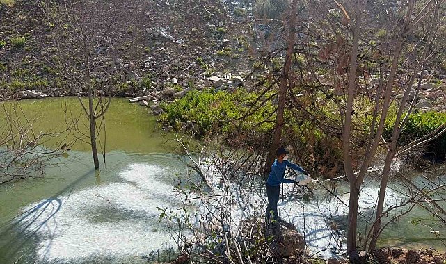 Adıyaman'da sivrisinek ve haşerelere karşı ilaçlama çalışması