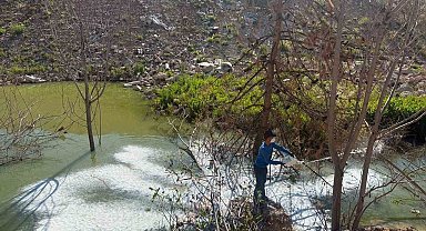 Adıyaman'da sivrisinek ve haşerelere karşı ilaçlama çalışması